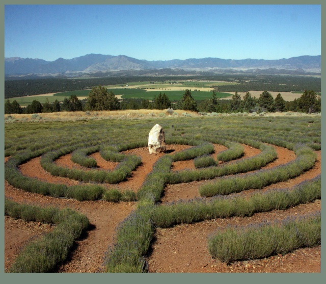 labyrinth - maze
