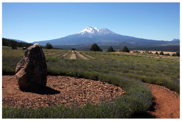 the rock and mt shasta